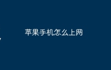 苹果手机怎么上网