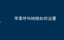 苹果呼叫转移如何设置