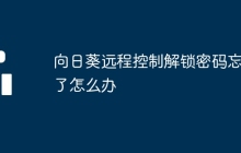 向日葵远程控制解锁密码忘记了怎么办