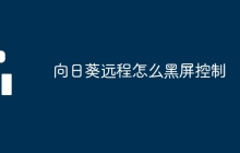 向日葵远程怎么黑屏控制
