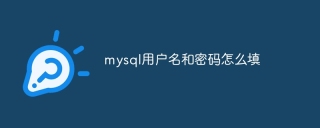 MySQLのユーザー名とパスワードを入力する方法