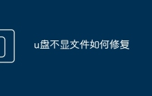 u盘不显文件如何修复