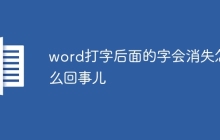 word打字后面的字会消失怎么回事儿