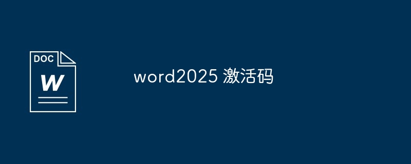 word2025 激活码
