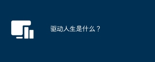 驱动人生是什么？