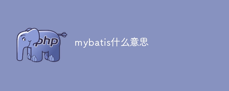mybatis什么意思