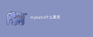 mybatis什么意思