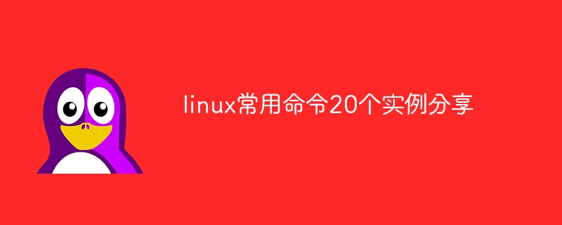 linux常用命令20个实例分享 - 小浪资源网