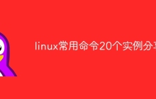 linux常用命令20个实例分享