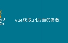 vue获取url后面的参数