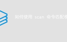 如何使用 scan 命令匹配模式