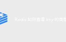 Redis 如何查看 key 的类型