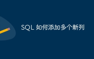 SQLに複数の新しい列を追加する方法