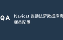 Navicat 连接达梦数据库需要哪些配置