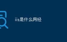 iis是什么网经