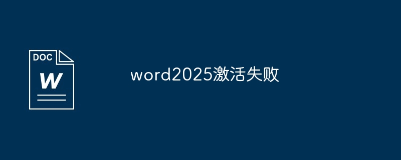 word2025激活失败