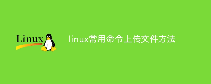 linux常用命令上传文件方法 - 小浪云数据