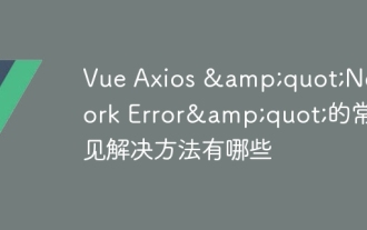 What are the common solutions for Vue Axios &Network Error&
