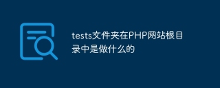 tests文件夹在PHP网站根目录中是做什么的