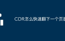 CDR怎么快速翻下一个页面