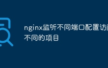 nginx监听不同端口配置访问不同的项目