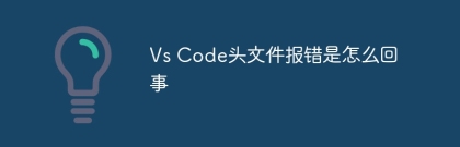 What's wrong with Vs Code header file?