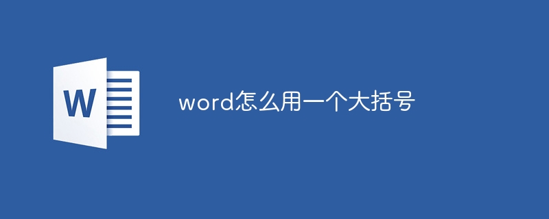 word怎么用一个大括号 - 小浪云数据