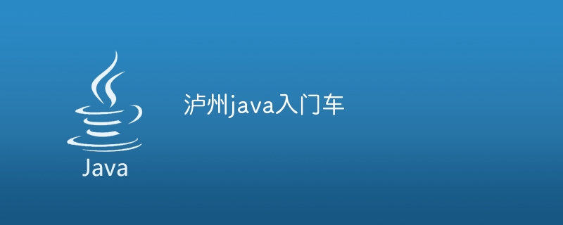 泸州java入门车