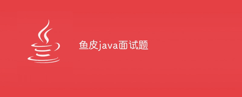 鱼皮java面试题