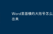 Word里面横的大括号怎么打出来