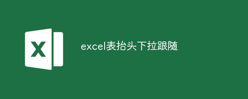 excel表抬頭下拉跟隨