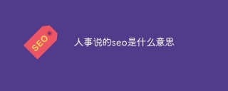人事说的seo是什么意思