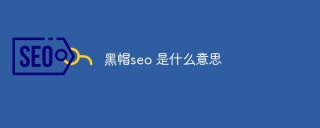 黑帽seo 是什么意思