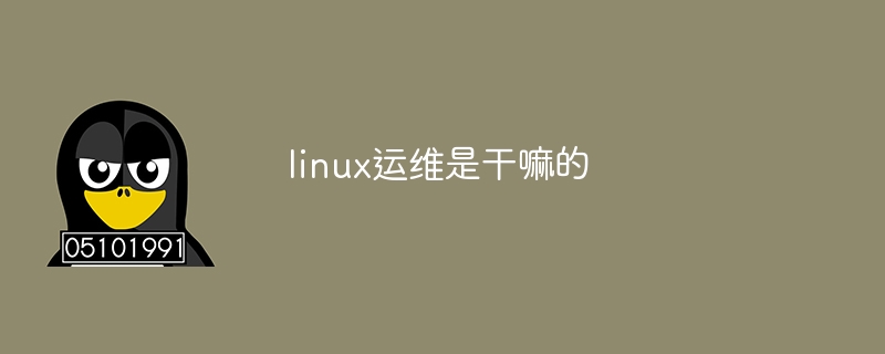 linux運維是干嘛的 - 小浪云數據