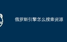 俄罗斯引擎怎么搜索资源