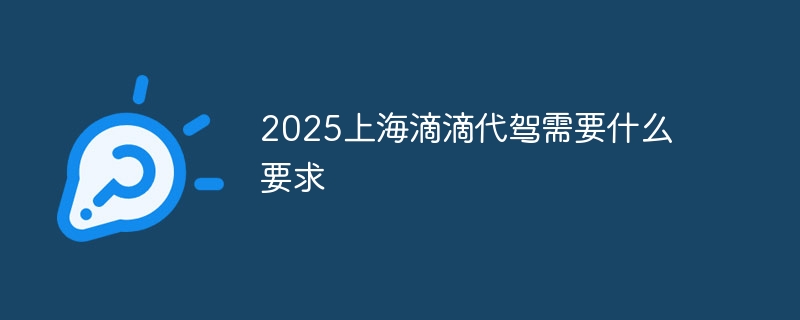 2025上海滴滴代驾需要什么要求 - 小浪云数据