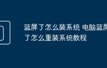 蓝屏了怎么装系统 电脑蓝屏了怎么重装系统教程