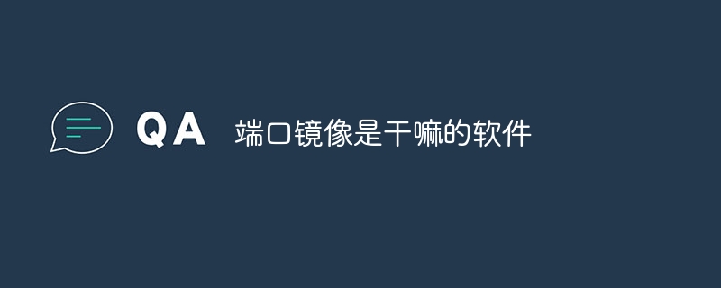 端口镜像是干嘛的软件