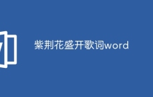紫荆花盛开歌词word