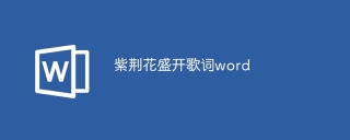 紫荆花盛开歌词word