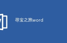 寻宝之旅word