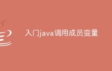 入门java调用成员变量