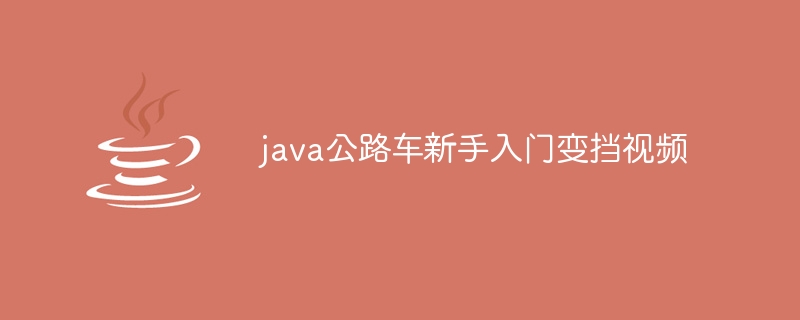 java公路车新手入门变挡视频