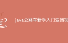 java公路车新手入门变挡视频