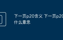 下一页p20含义 下一页p20是什么意思