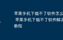 苹果手机下载不了软件怎么办 苹果手机下载不了软件解决教程