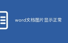 word文档图片显示正常