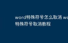 word特殊符号怎么取消 word特殊符号取消教程