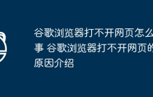 谷歌浏览器打不开网页怎么回事 谷歌浏览器打不开网页的原因介绍