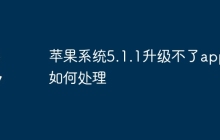 苹果系统5.1.1升级不了app如何处理